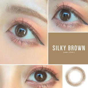 eye closet 1day Silky Brown アイクローゼット ワンデー シルキーブラウン